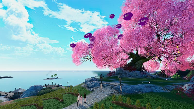 images/1666685134985blueberry grading machine.jpg